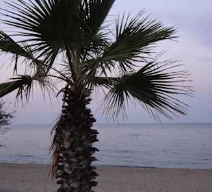 Am Meer in Argelès-Plage