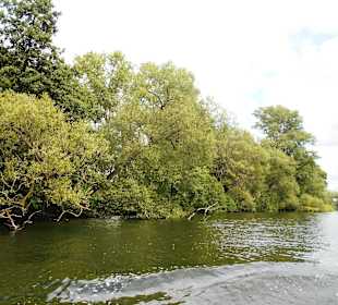 Ausblick während Kanaltour