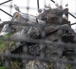 Tierpark 