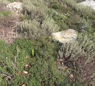 Bürgerpark Offenburg