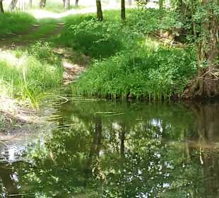 Schlossgarten See