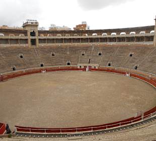 Arena