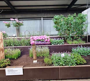 Gartenbau-Ausstellung
