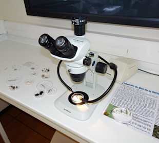 Forschung und Ausstellung im Jardin Méditerranéen