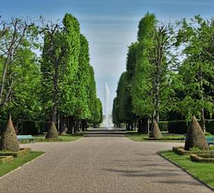 Spaziergang durch den Großen Garten