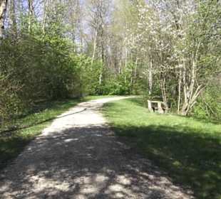 Sport- und Freizeitpark Markwasen