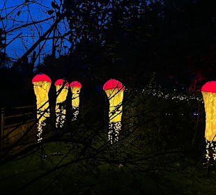 Herbstlichter Brückenkopfpark