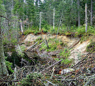 Algonquin Provincial Park, Whiskey Rapids Trail