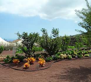 Die Pyramiden von Güimar