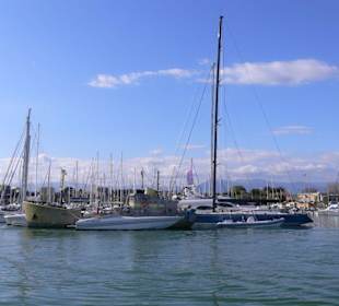 Jede Menge Segelboote