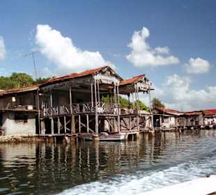 Insel "Cayo Granma"