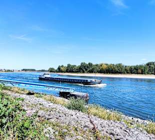 Rheinpromenade Speyer