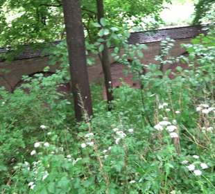 Bastion 5 mit dem Kriegsspital