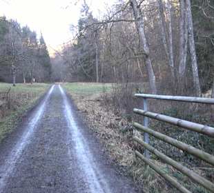 Wanderung rund um den Ochsenweiher