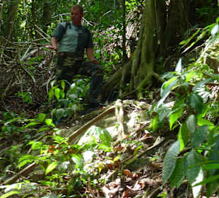 Dschungel-Trekking-Tour