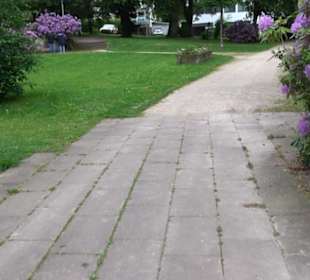 Froschbrunnen