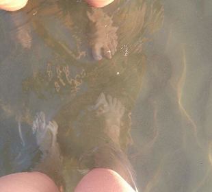 Super klares Meerwasser