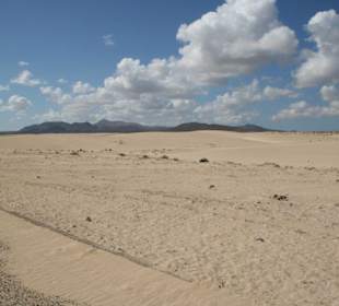 Bune de corralejo