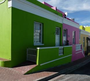 Pretty in pink between green & yellow