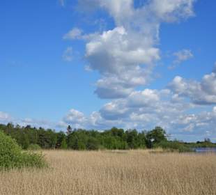 Eindrücke vom Rundweg um den Bederkesaer See 