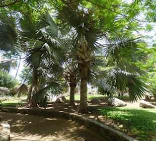 Schöner Garten