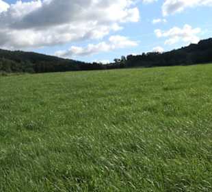 Themenweg Kaiserweg Zimmern