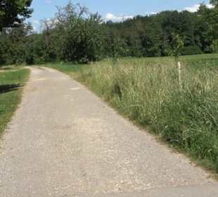 Eduard Lucas Musterobstgarten Mähringen