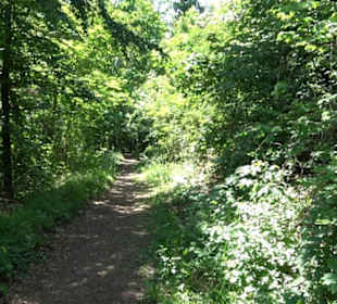 Wanderweg Sieben-Täler-Runde 