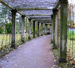 Park Katarzyny