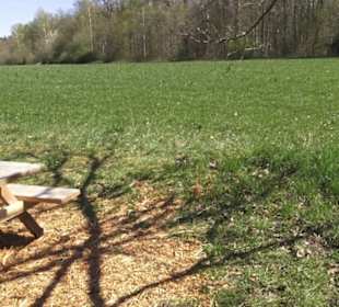 Sport- und Freizeitpark Markwasen