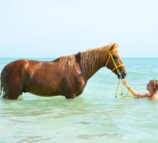 Swimming with horses