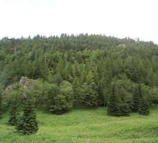 Tatrzański Park Narodowy