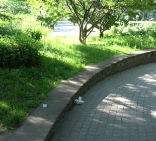 Seegarten-Anlage / Kurfürsten-Anlage