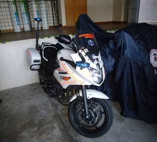 Schnelle Eingreiftruppe