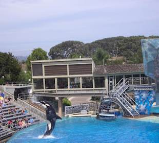 Sea World