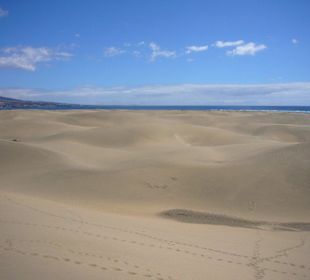 Dünen von Maspalomas