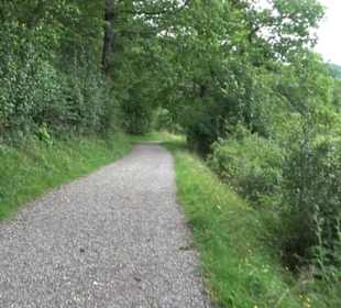 Themenweg Kaiserweg Zimmern