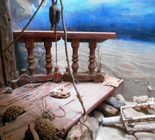 Im Museum dos Naufragos