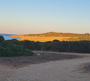 Stadtrundgang Cala Millor