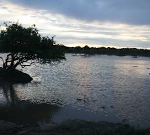 Abendstimmung in Yala
