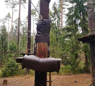 Bäume sind gut gesichert