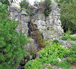 Rundgang durch den Botanischen Garten