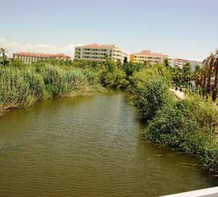 Aussicht auf der Brücke