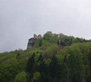 Die Burg aus Richtung Lietava
