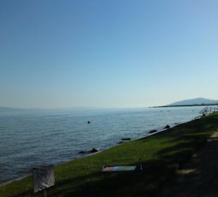 Der Balaton früh morgends