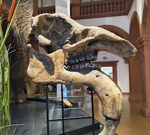 Naturhistorisches Museum