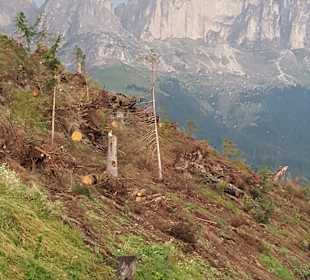 Wandern Nova Levante / Welschnofen