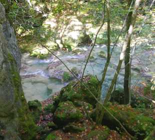 Горный нацпарк Истоки реки Уредерра, Наварра