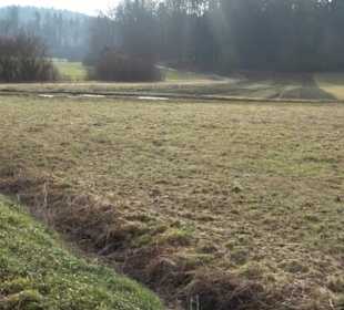 Rundwanderung durch den Rauhen Rammert Hemmendorf