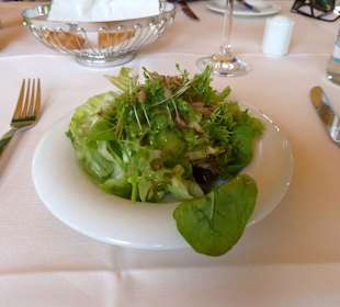 Gemischter Salat aus frischen Blattsalaten
